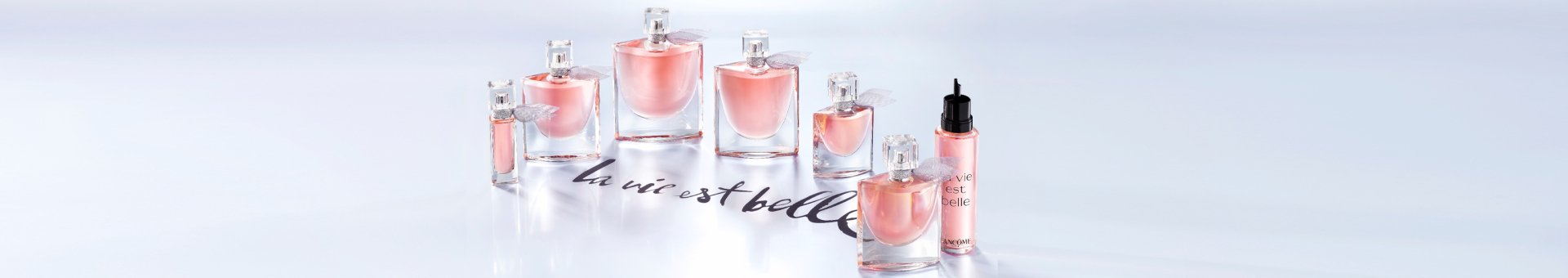 Bannière LVEB UHPS desktop